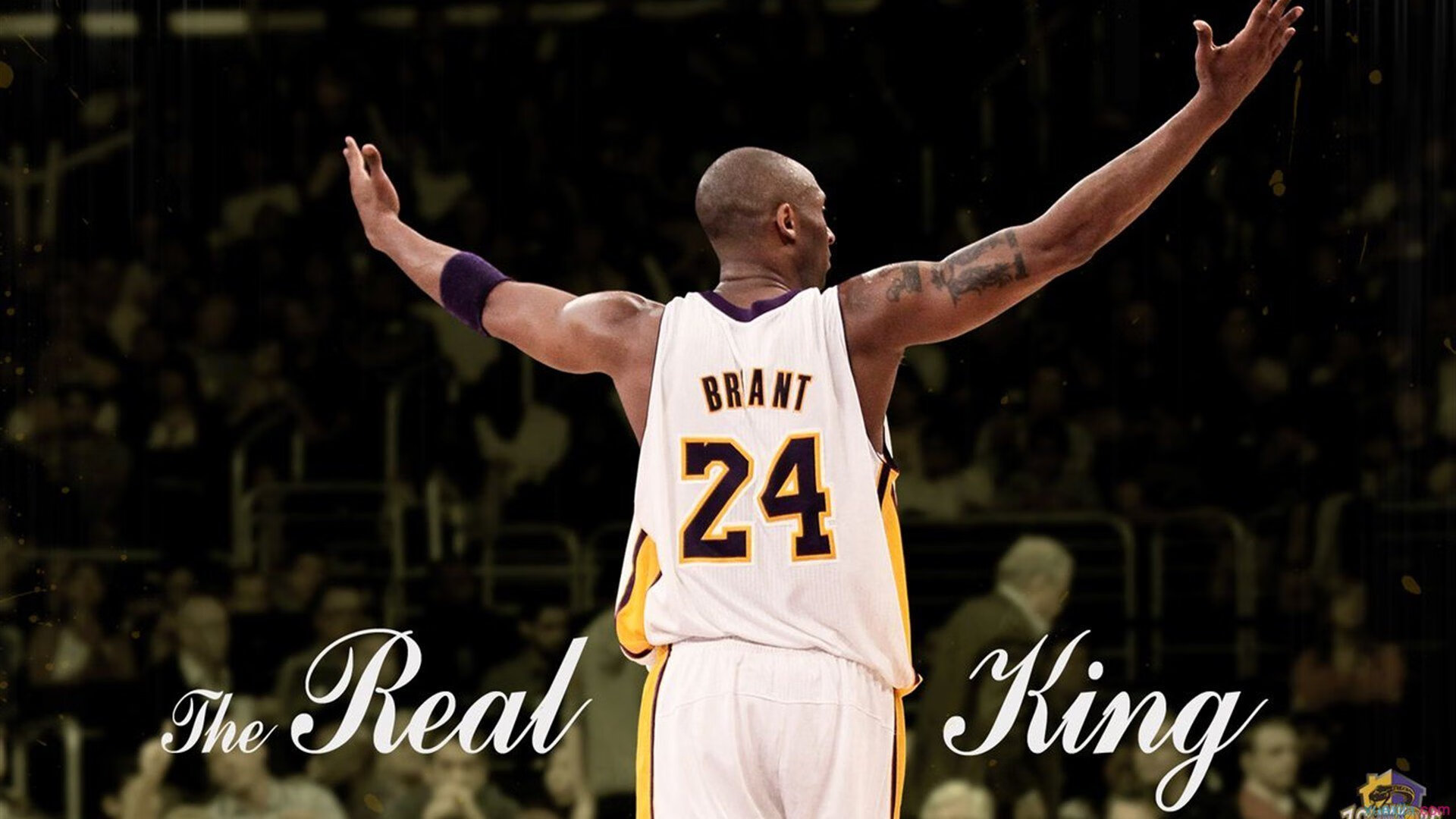 熊猫直播APP-奥运周期关键战之夜，切特带队取胜，新一代中锋的时代宣言